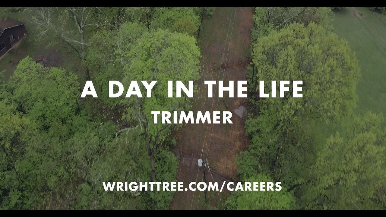 A Day in the Life  - Trimmer