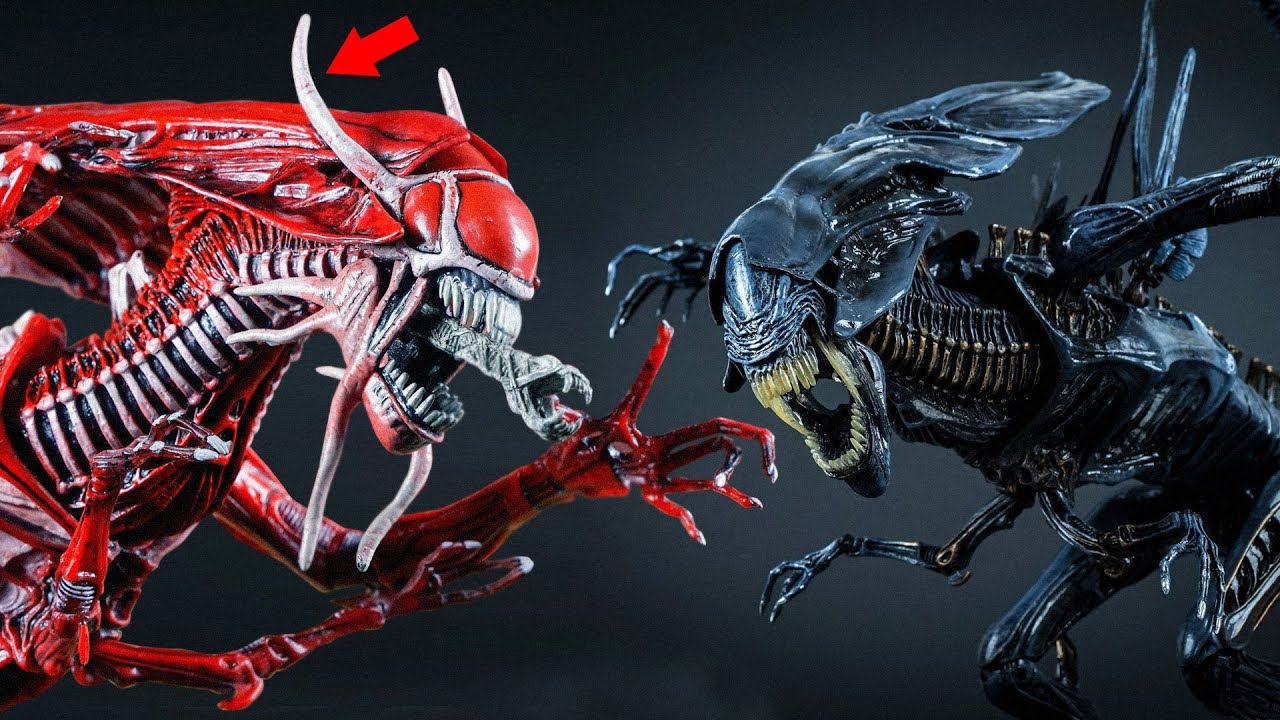 All the QUEEN ALIEN Types...