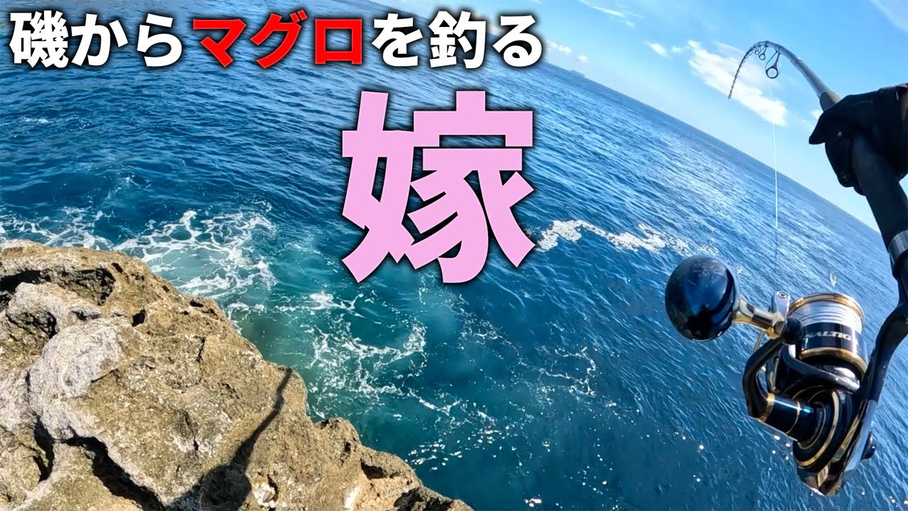 夫婦で磯からマグロ釣りをしてきました。