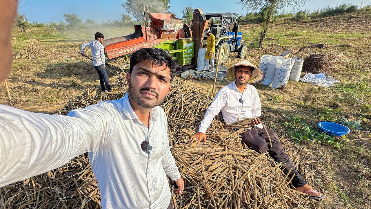 देशी बाजरा👌Millet 😲