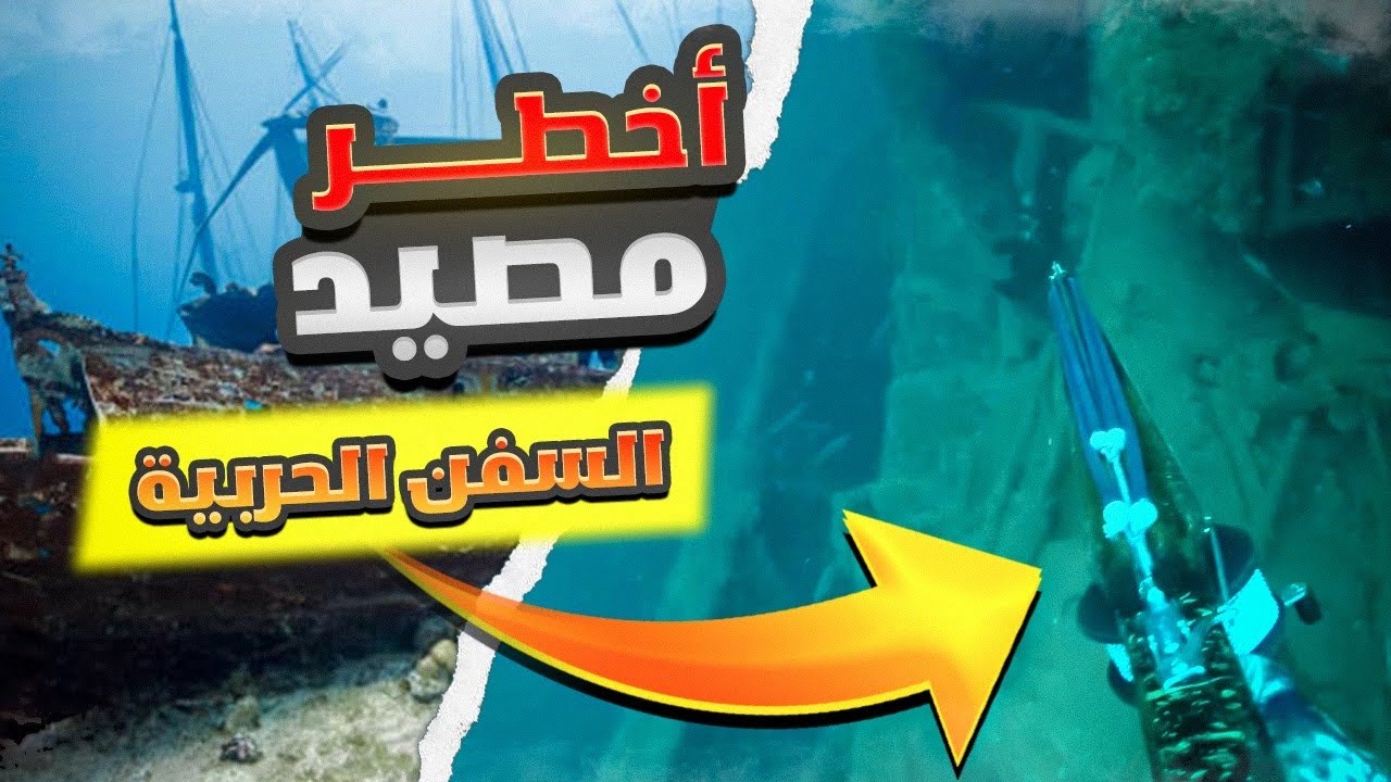 chasse sous marine loup bar dans l'épave صيد الدرعي في حطام السفن