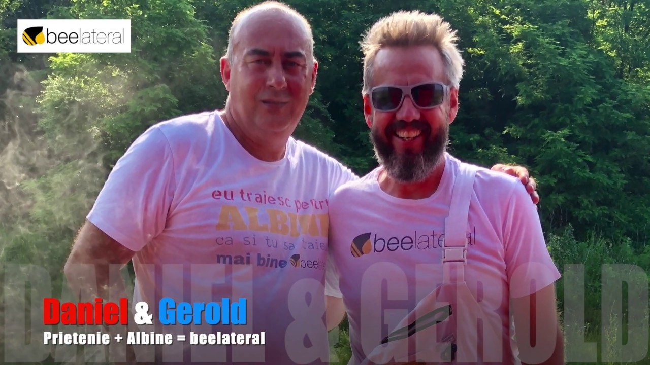 Daniel Calmuș - beelateral