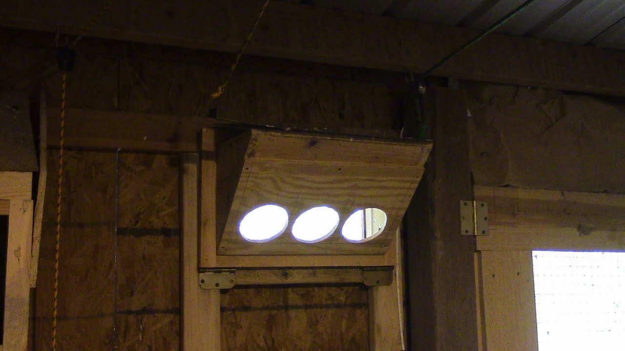 Homemade Homing Pigeon Trap Door