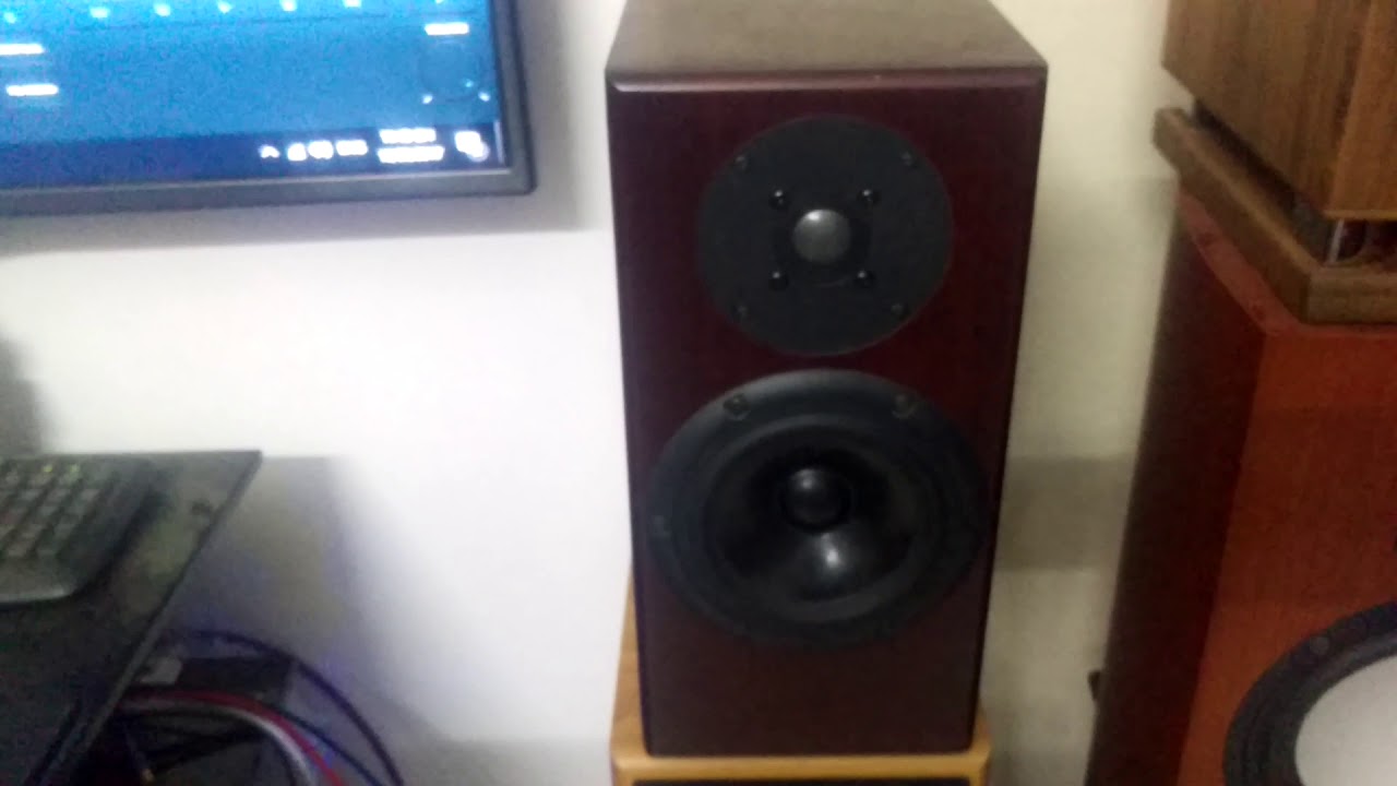 DAC ES9028PRO + TOTEM RAIMAKER + PRIMARE A20