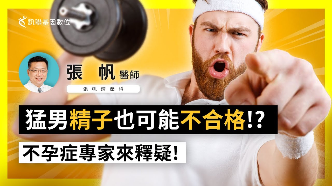 【Gene 好孕】猛男精子也可能不合格！不孕症專家來釋疑 ~ | 訊聯基因數位 ft. #張帆婦產科 #張帆 醫師