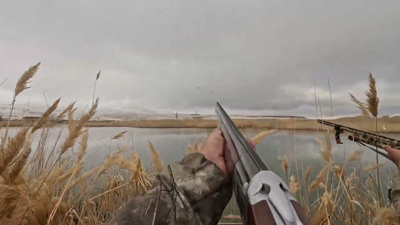 2025/2026 SEZONUNDAN ÖRDEK AVLARI#avcılık #hunting #ördek#zor #hunter#huğlu#avcılık 