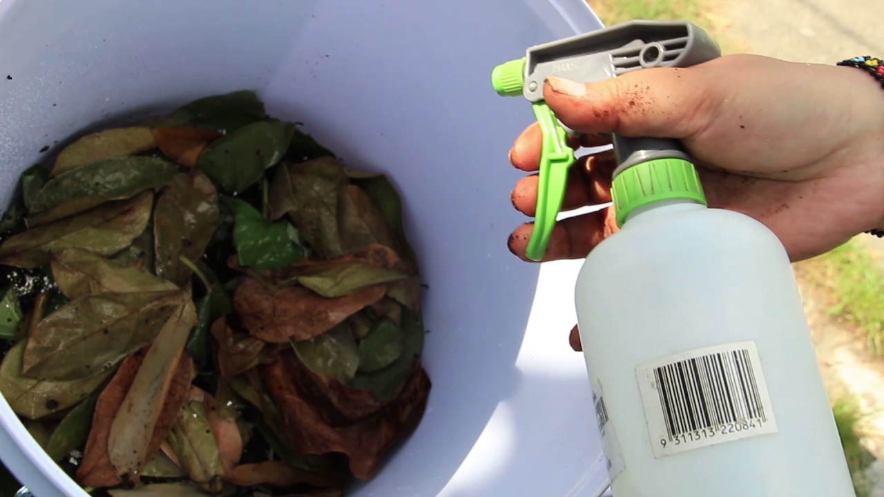 OA AKO Telemag #69 Composting Kitchen Waste