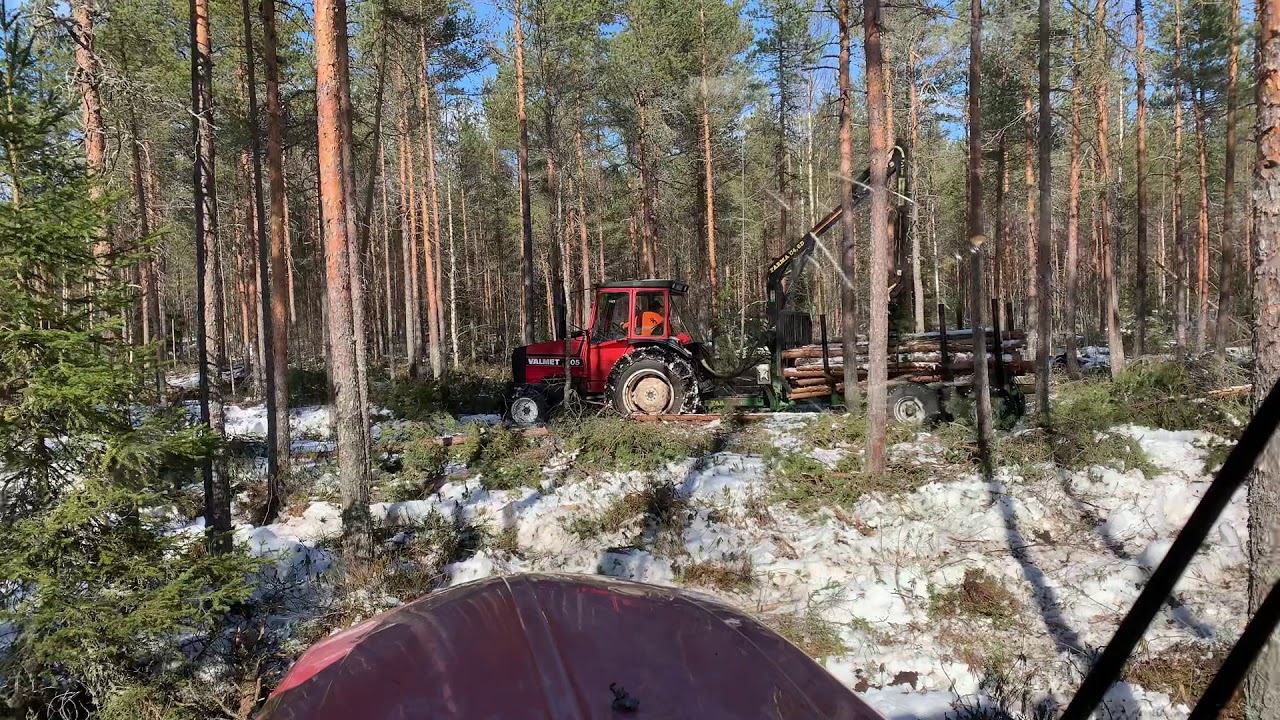 Valmet 405 and trailer in forest