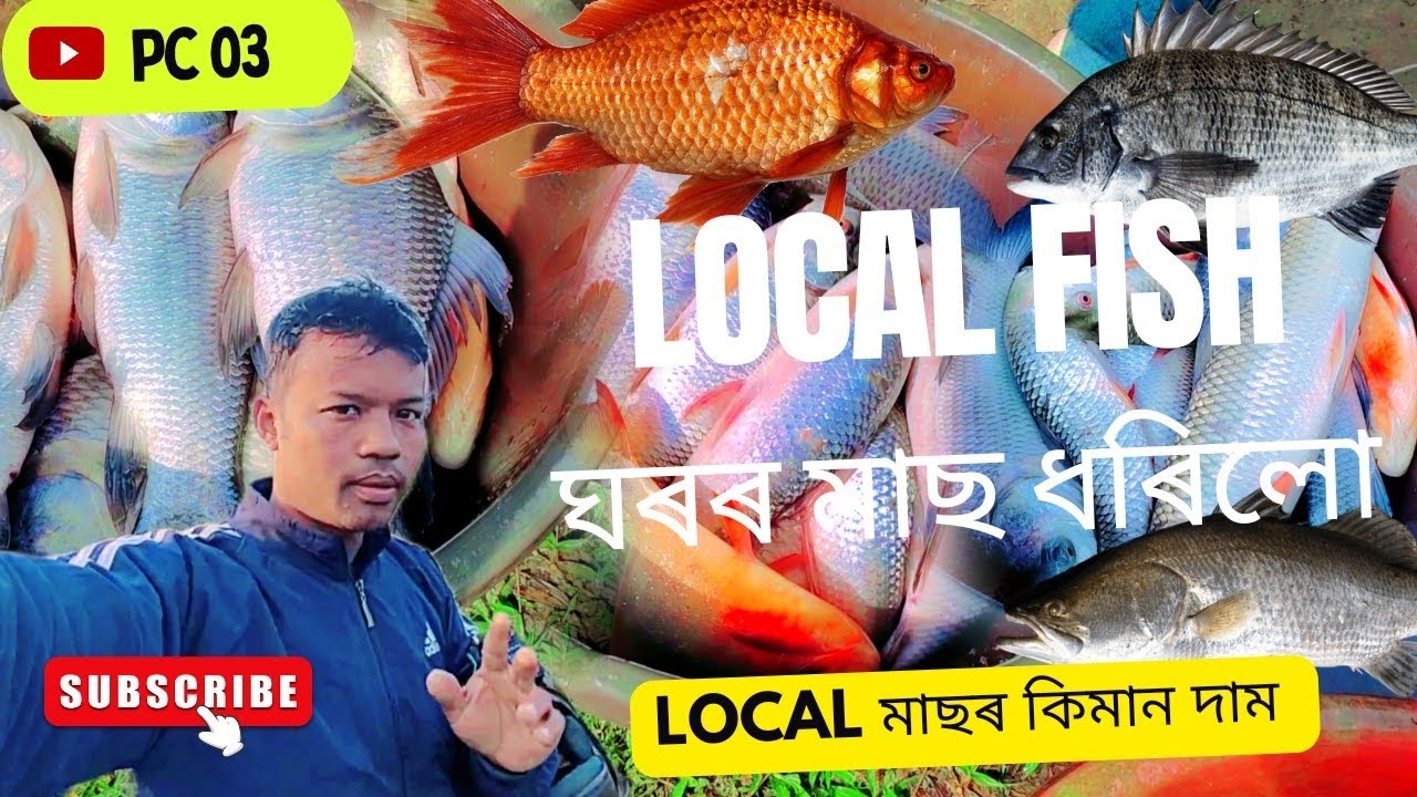 Fishing Video / Net Fishing / Assam local Fish /@PC03