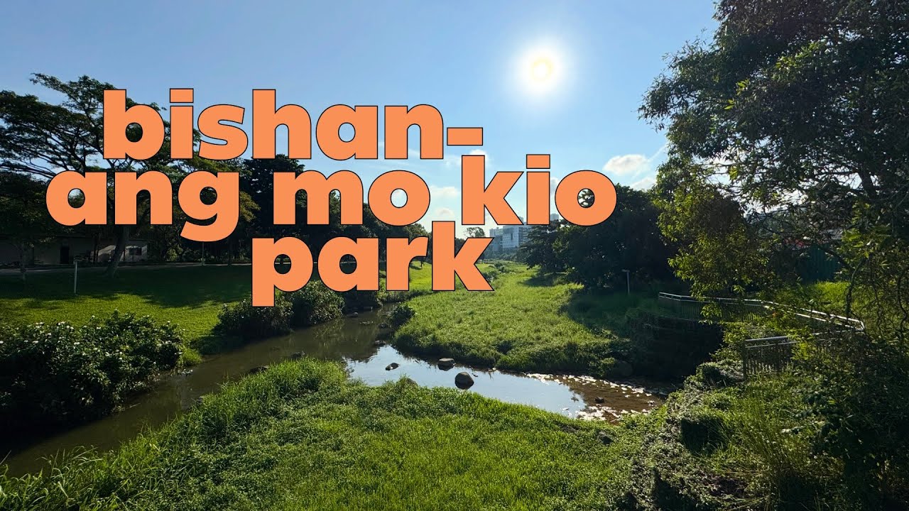 a sunny morning in singapore's bishan-ang mo kio park // 4k walking tour asmr