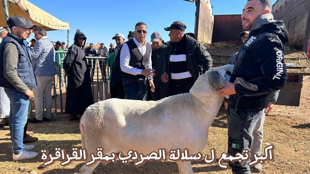 شاهد اجمل الفحول لي تقدمات من طرف الإخوان خليل و عبدالحق إبن رضى و فريد المزابي و الحاج نازي...