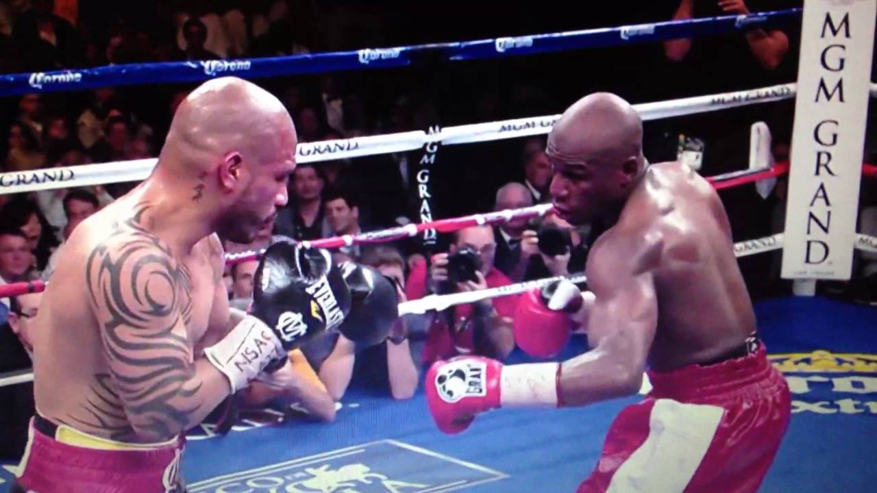Highlights of the Floyd Mayweather straight right hand
