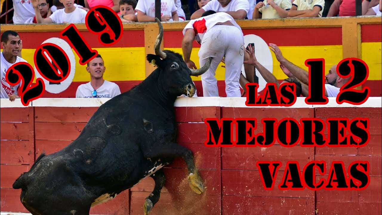 ⭕️🤘🏻 LAS 12 MEJORES VACAS DE 2019