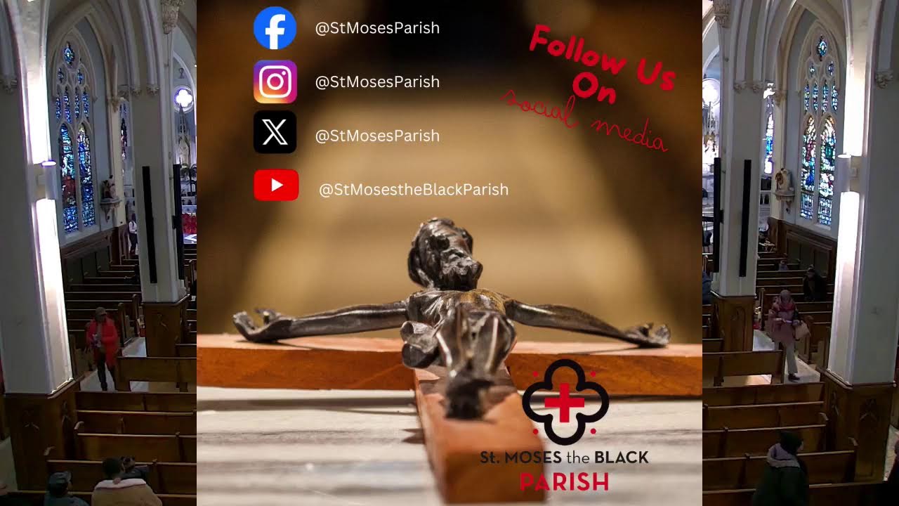 Fifth Sunday in Ordinary Time - February 08, 2026