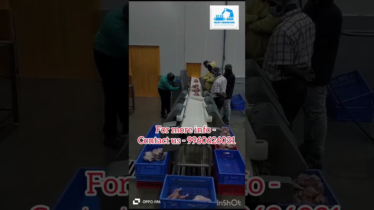 Chicken Sorting Conveyor Automation, Segregation, Separation , weighing