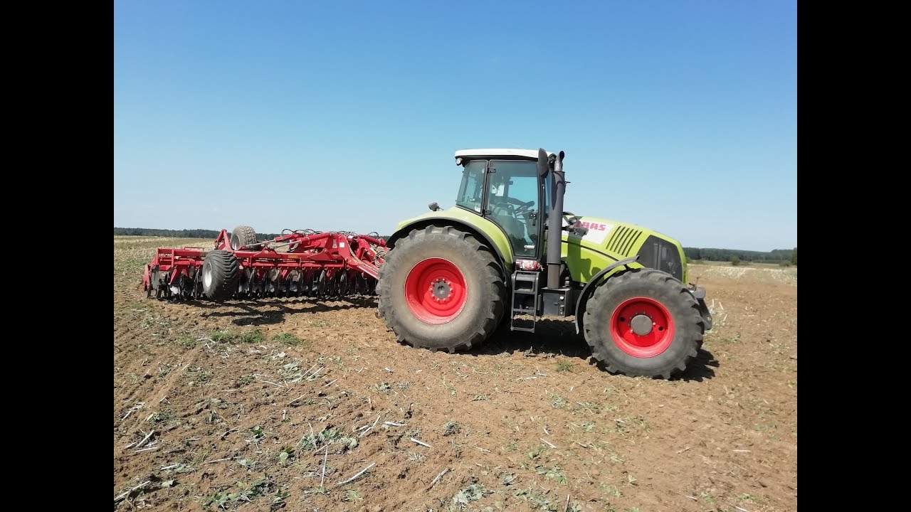🇵🇱 GR. WISZ - Pałck # Siew Poplonu Talerzowanie # CLAAS  AXION & CASE 340  🌾
