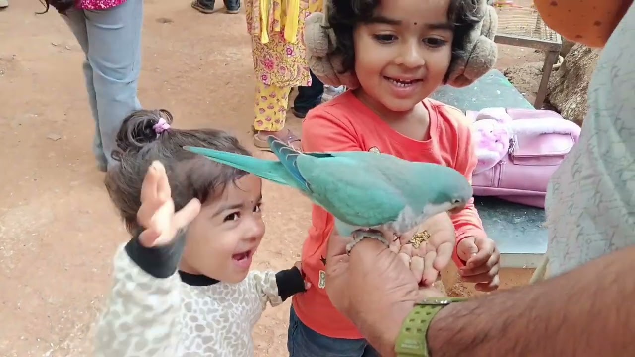 ಭಯಂಕರ ಅನುಭವ 🐍.. ಕುದುರೆ ಸವಾರಿ.. fun with family 🍿 🍹..birds of paradise 🦆🐦🦜🕊️