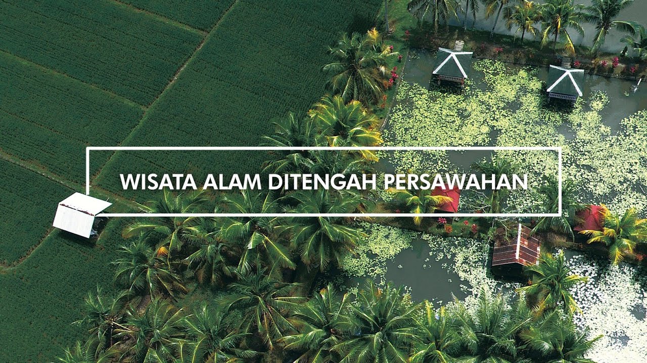 Wisata Alam Tersembunyi Di Tengah Persawahan || Kota Baubau || Sultra || Luvtrip