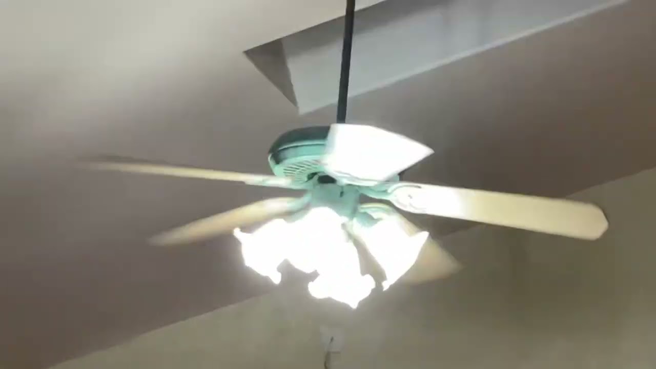 Unknown Ceiling Fans at my mom and dad’s friend’s house 02/01/25
