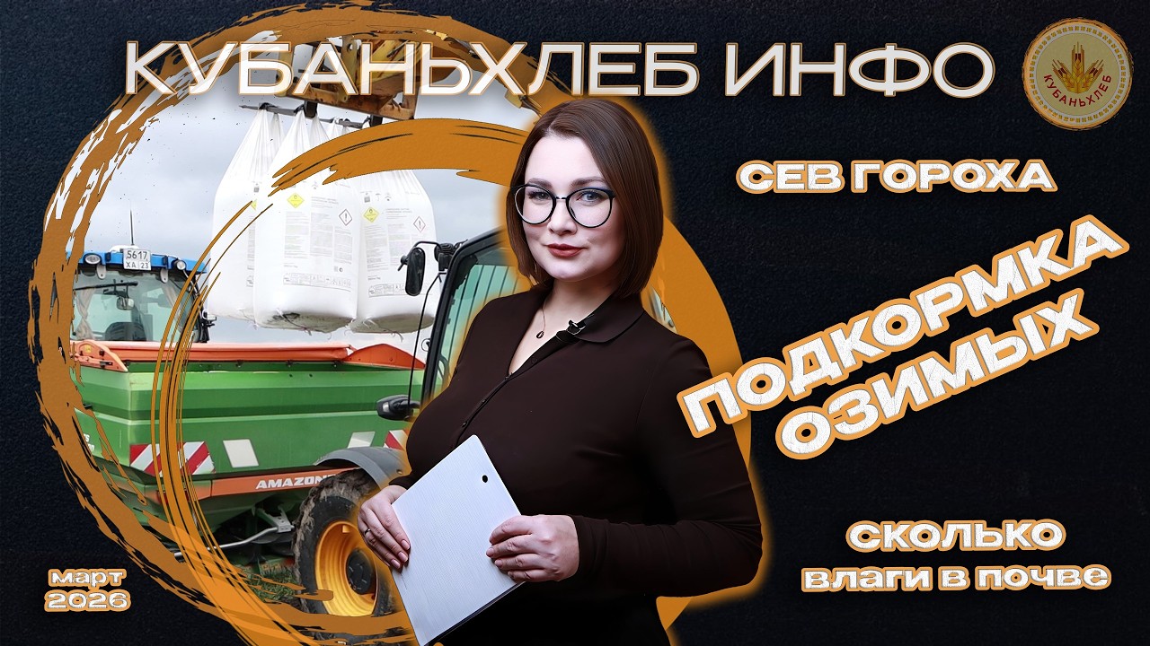 Новости АПК «Кубаньхлеб» 06.03.2026