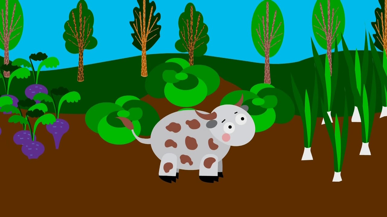 Animals | 68 | Bedtime Stories | ducktv