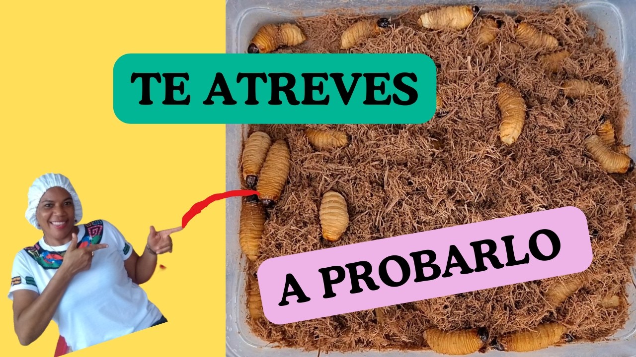 Receta fácil como preparar mojojoy en minutos fácil y rápido