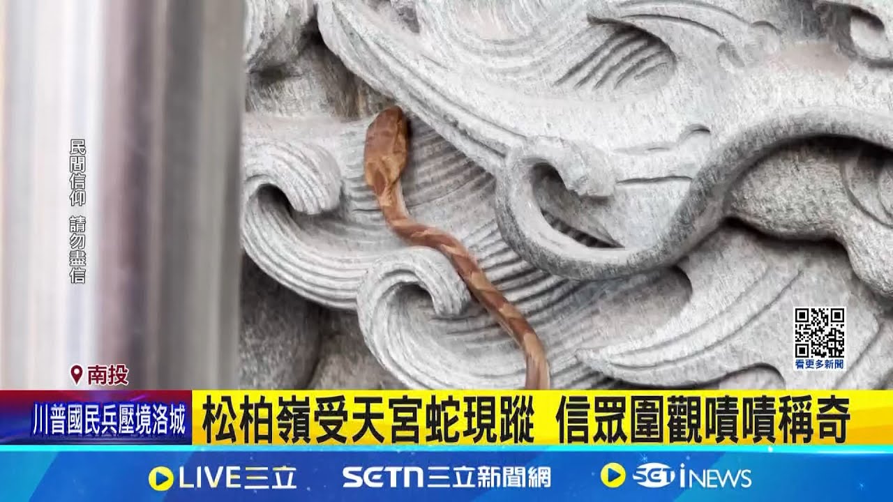 坐騎回來朝拜玄天上帝?  蛇現蹤引信眾圍觀  松柏嶺受天宮蛇現蹤 信眾圍觀嘖嘖稱奇 宮廟周遭山林多  專家:大頭蛇產卵季節｜三立新聞網 SETN.com