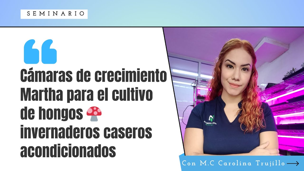 SEMINARIO: Cámaras de crecimiento Martha para el cultivo de hongos 🍄 invernaderos caseros