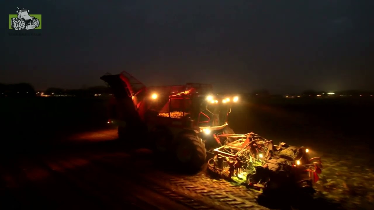 Suikerbieten rooien met een negenrijer Vervaet