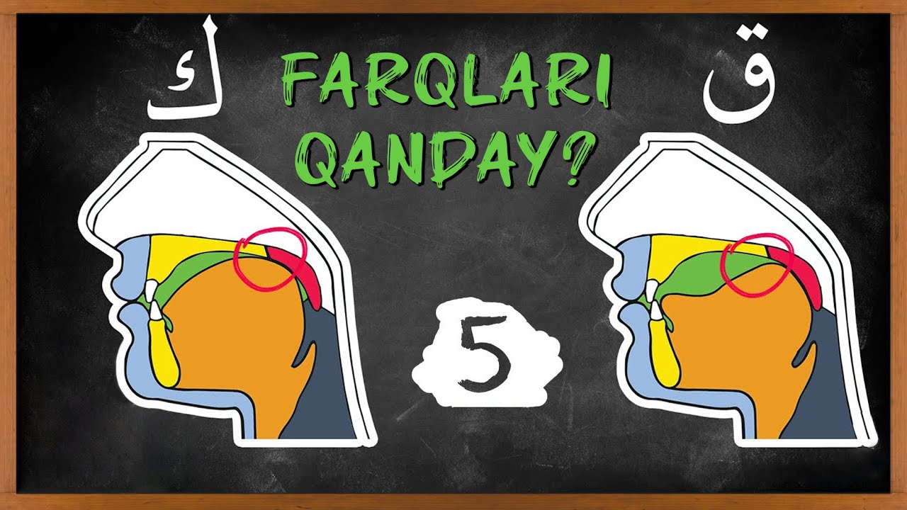 Maxraj va Sifat. 5 dars | Arabic101. ق va ك harflarini to&lsquo;g&lsquo;ri talaffuz qiling.