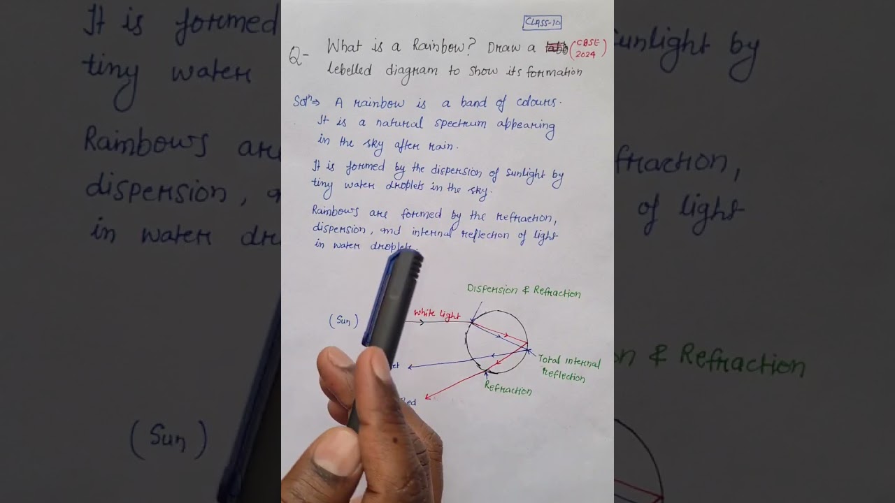 What is Rainbow? How it is formed? Rainbow formation class10 science pyq 2024 cbse 