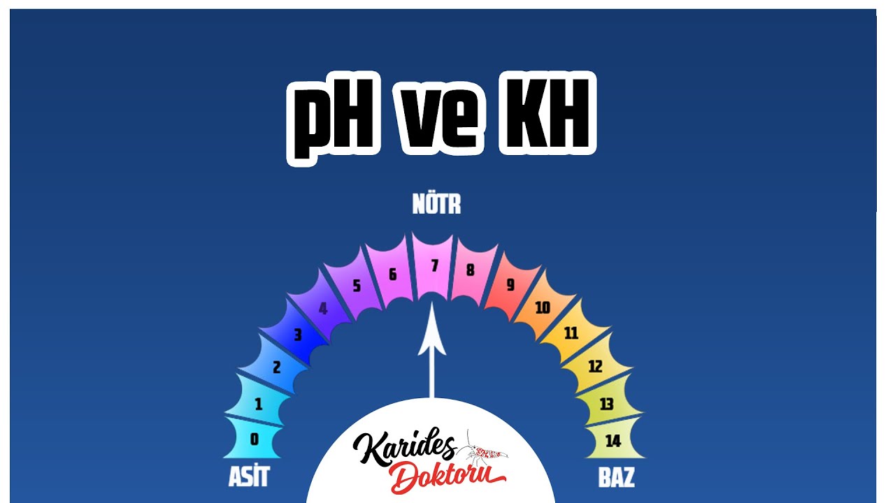 Karides akvaryumlarında pH ve KH