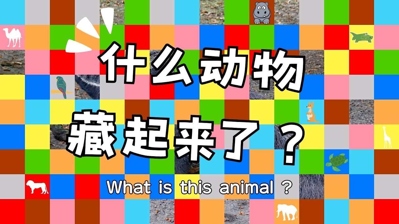 什么动物藏起来了？｜What is this animal？｜Video for kids
