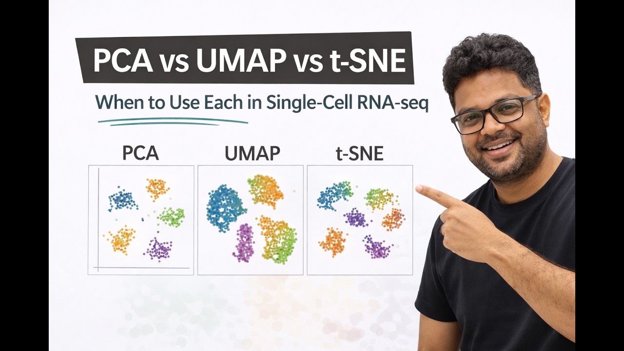 PCA vs UMAP vs t-SNE: When to Use Each in Single-Cell RNA-seq | Seurat Tutorial