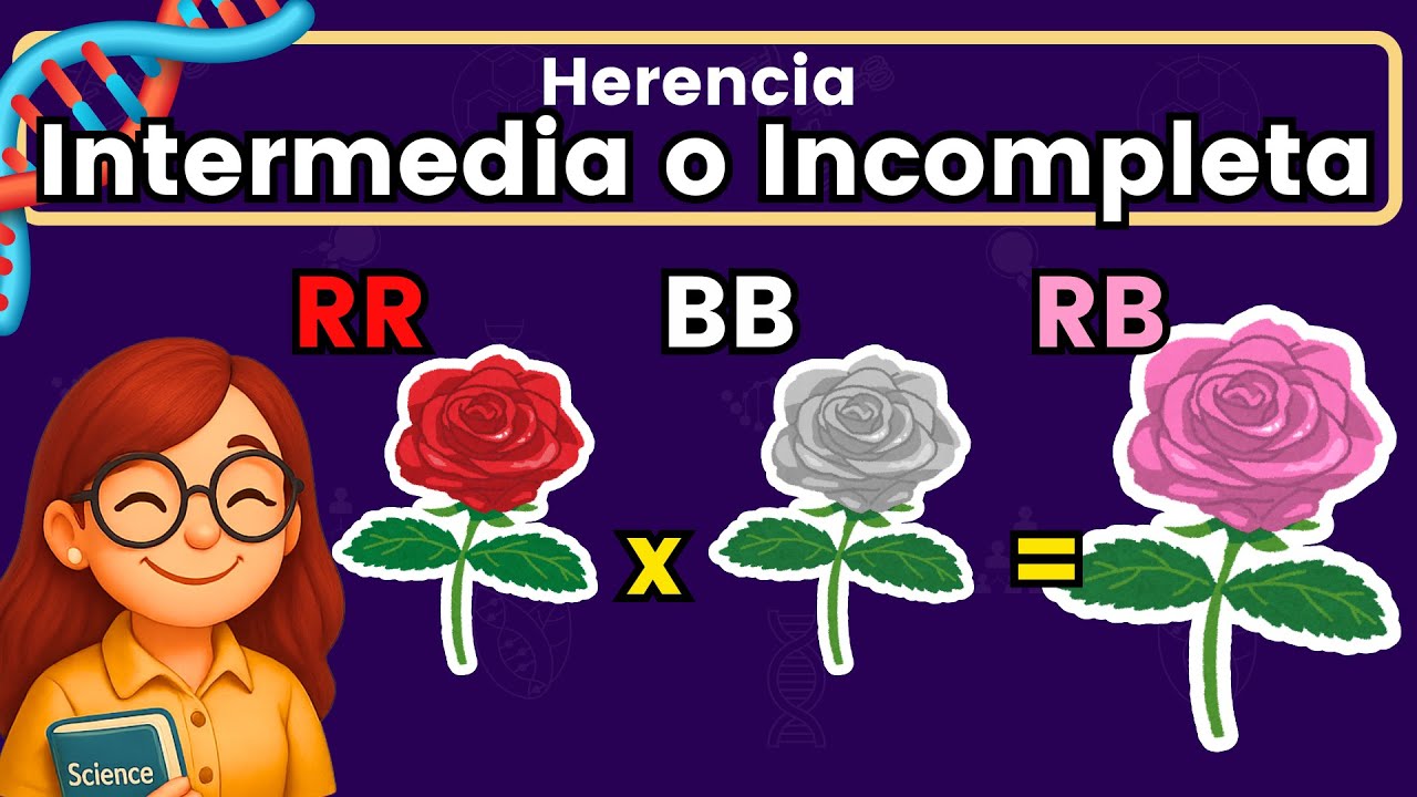 Herencia Incompleta o Intermedia 🌹