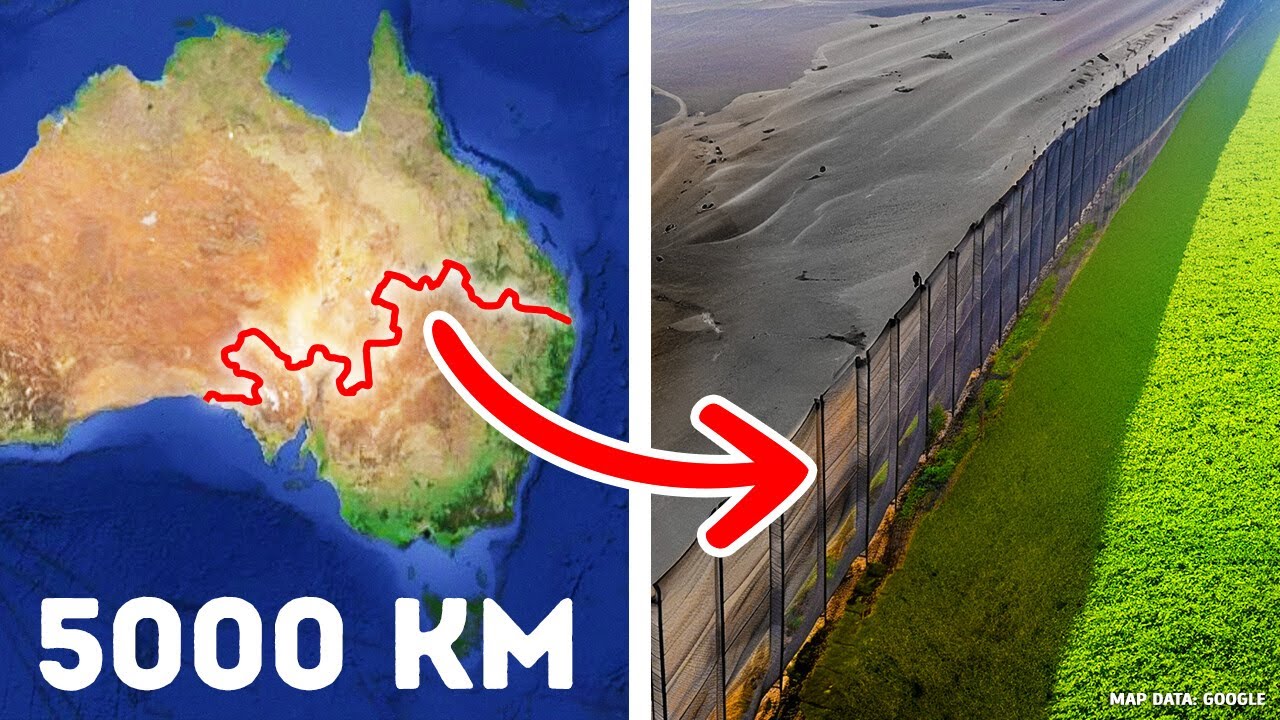 Dlaczego Australia zbudowała ogrodzenie przez cały kontynent?