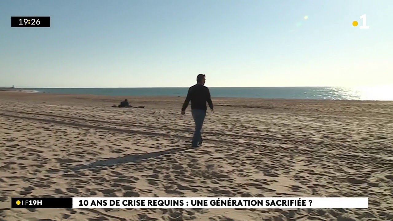 Suite de notre feuilleton sur la crise requin : des talents ont quitté La Réunion