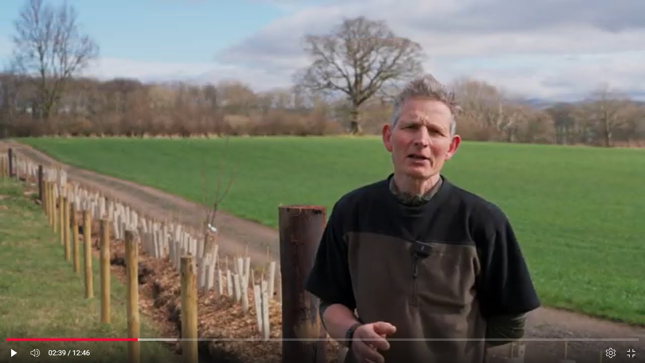2  Hedgerows   Lowland Dairy Farmer Richard Park, Low Sizergh Farm
