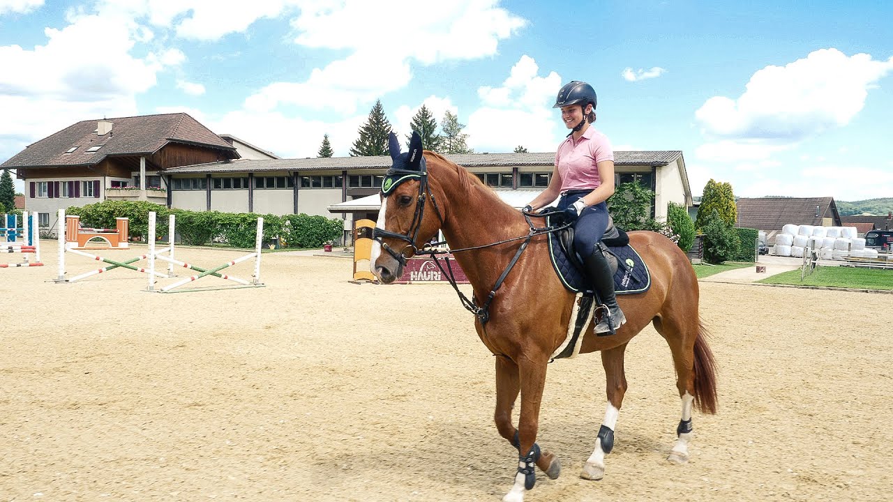 Turniervorbereitung mit Bronislav Chudyba - Reittraining für Pferd & Reiter