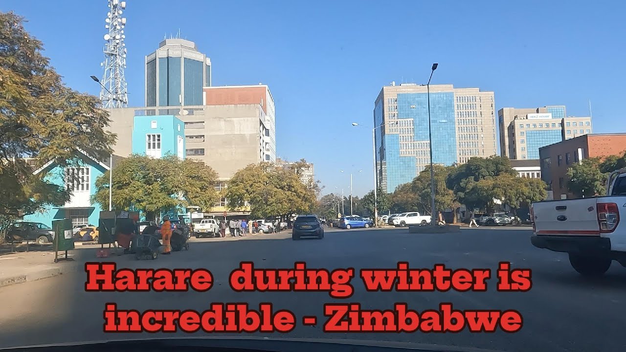 Harare in Zimbabwe has the best winter in the world incredible winter#zimbabwe #harare #travel