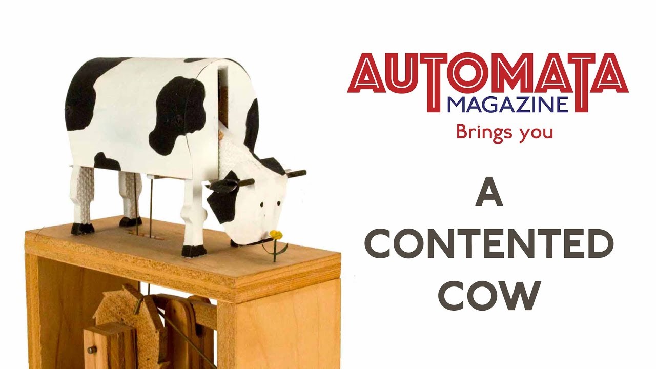 A Contented Cow