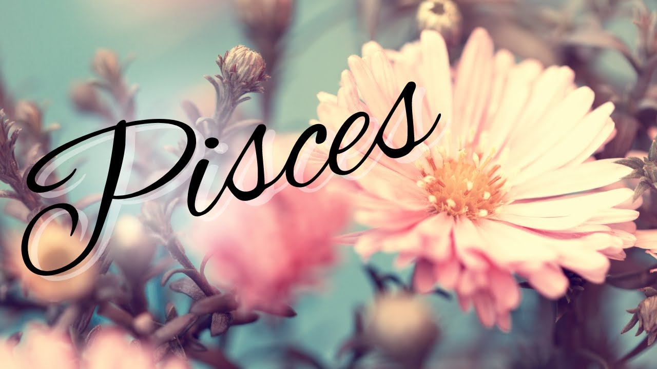 Pisces Singles🩷A Life Partner! You'll Be Tested, But You Know Whats Up🩷 Love & Healing Messages