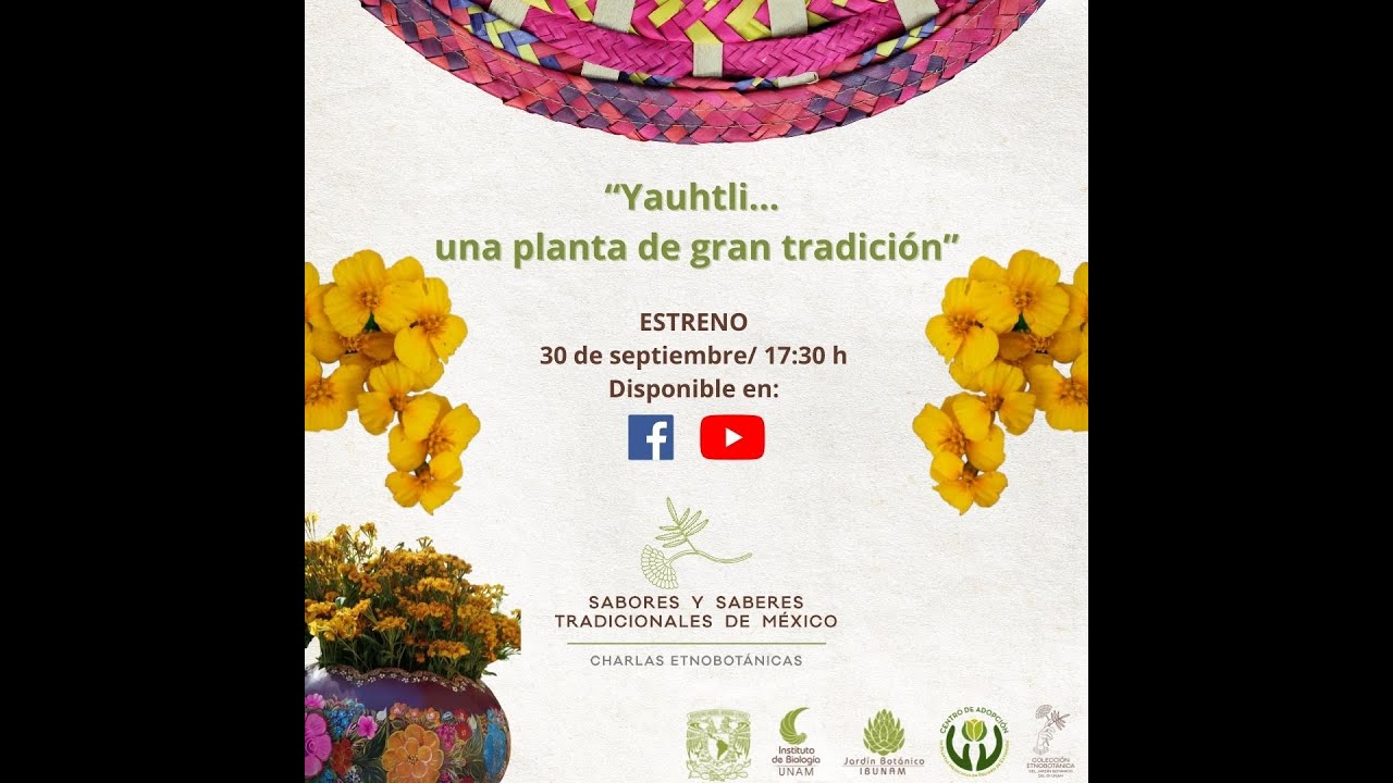 Charlas etnobotánicas: Yauhtli... una planta de gran tradición