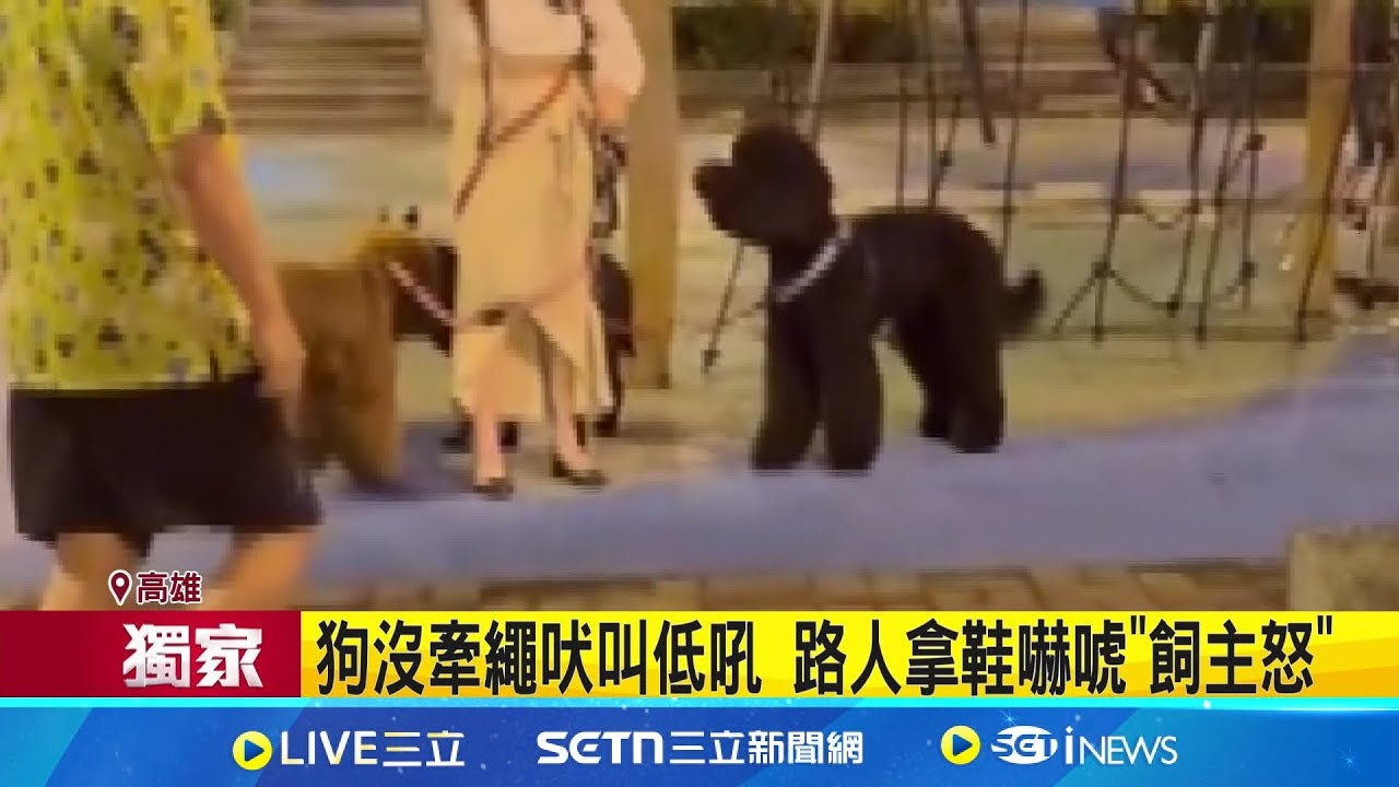 遛3隻大狗不牽繩 飼主嗆路人