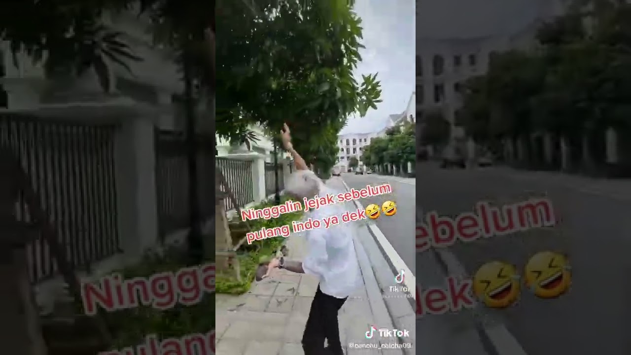KELAKUAN VIDHIA MEMANJAT POHON MANGGA DI DEPAN RUMAH DAT VILLA