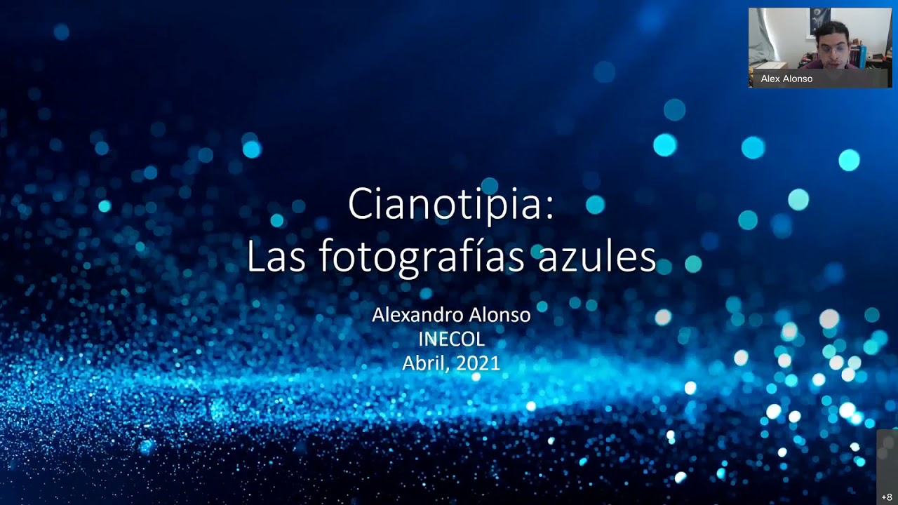 Cianotipia: Las fotografías azules