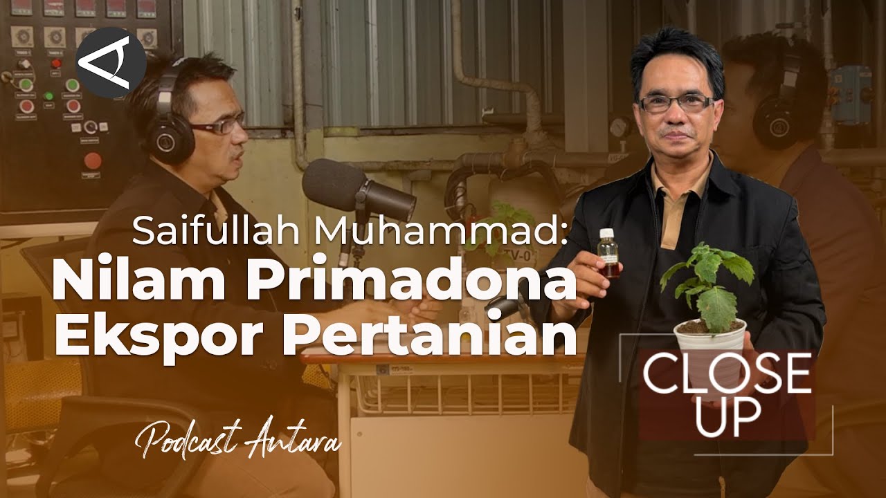 Nilam, potensi ekonomi terbaik sektor pertanian