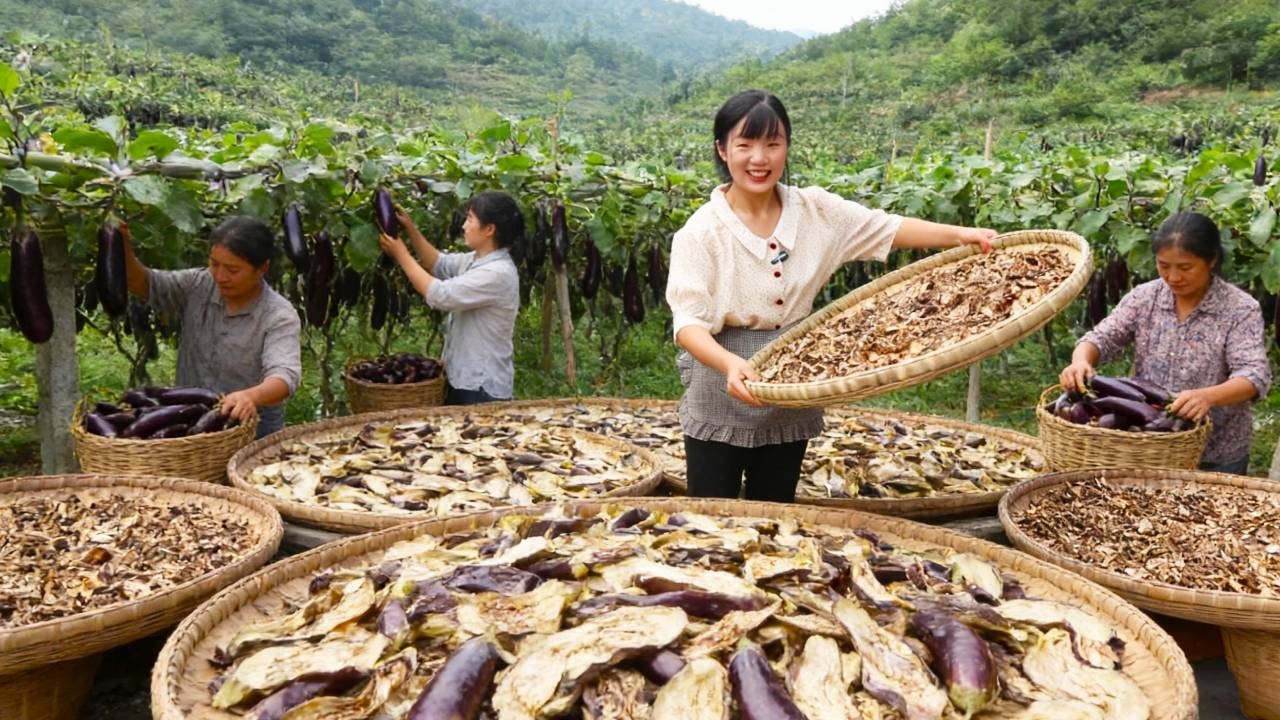 1 块钱一斤的茄子都少有人买，索性用 200 斤做成菌香风味，农家小院又迎来晒干货的时节。【燕麦行游】