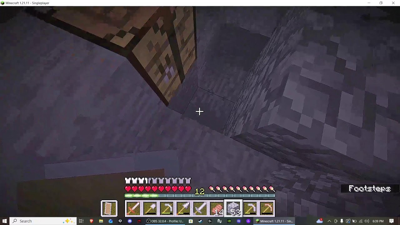 Minecraft: Davish's Great Adventure!