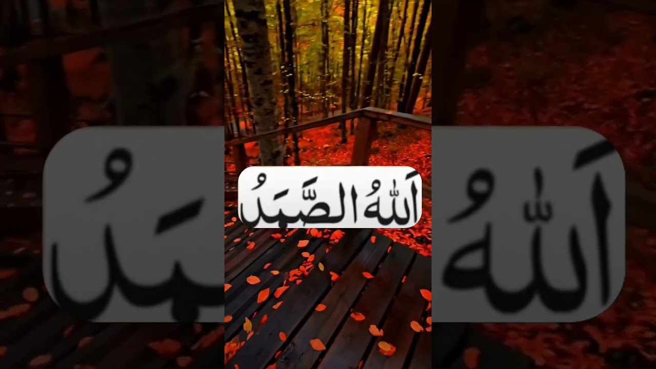 #Barkat ke liye wazifa 💵#wazifa for money #shorts #viral #religion #trending #youtubeshort#dua#allah